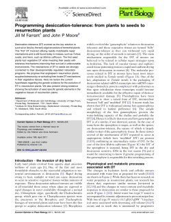 Programming desiccation-tolerance: from plants to seeds to