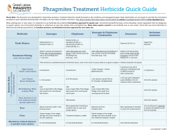 Phragmites Treatment Herbicide Quick Guide
