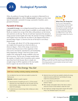 Ecological Pyramids
