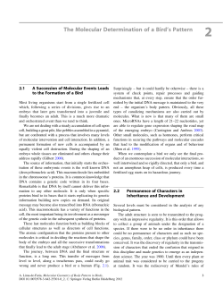The Molecular Determination of a Bird`s Pattern