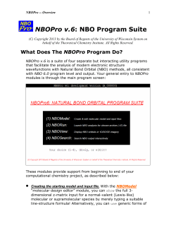 NBOPro v.6: NBO Program Suite