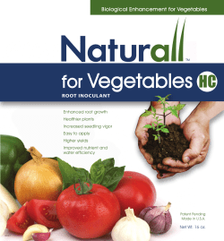 for Vegetables