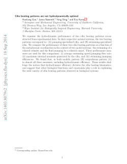 Cilia beating patterns are not hydrodynamically optimal