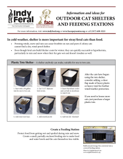 OutdOOr Cat ShelterS and FeedIng StatIOnS