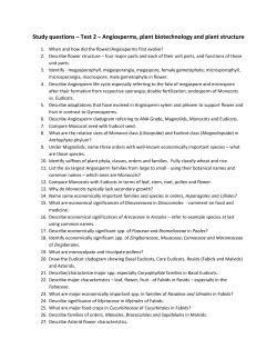 Test 2 - WordPress.com