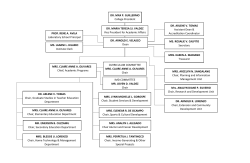Organizational Structure