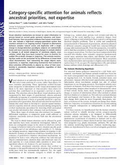 Category-specific attention for animals reflects ancestral priorities