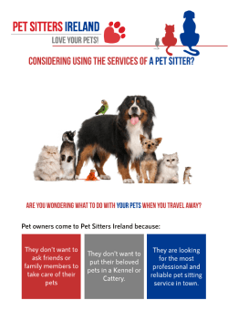 Guide To Hiring A Pet Sitter