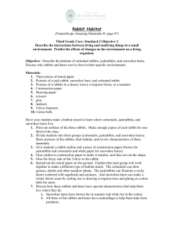 Rabbit Habitat