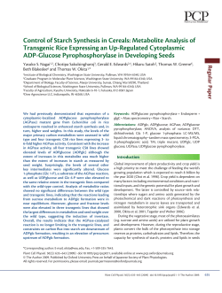 Control of Starch Synthesis in Cereals: Metabolite Analysis of