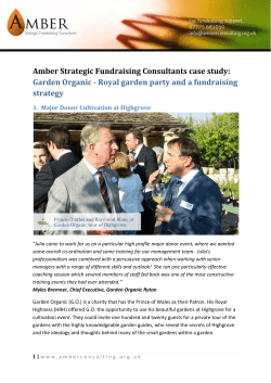 Amber Strategic Fundraising Consultants case study: Garden