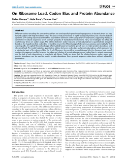 On Ribosome Load, Codon Bias and Protein Abundance