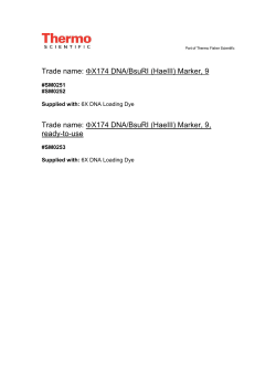 Trade name: &Phi;X174 DNA/BsuRI (HaeIII)