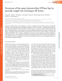 Structures of the yeast dynamin-like GTPase Sey1p provide insight