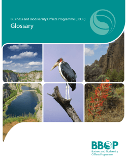Glossary - BBOP