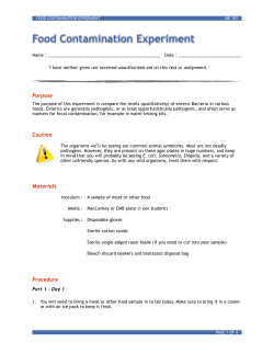 Food Contamination Experiment