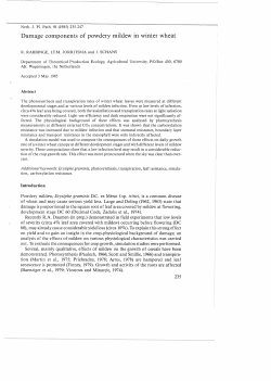 Damage components of powdery mildew in winter wheat
