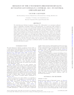biology of the uncommon dreissenid bivalve mytilopsis