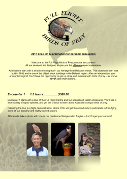 Personal encounters 2017 - Full Flight Birds of Prey