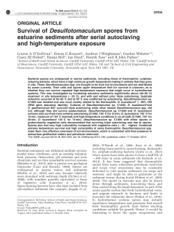 Survival of Desulfotomaculum spores from estuarine