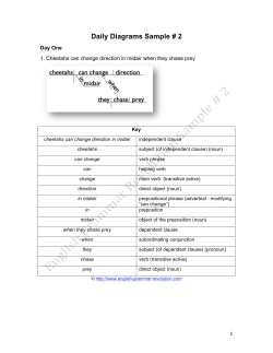 Daily Diagrams Sample # 2 - English Grammar Revolution