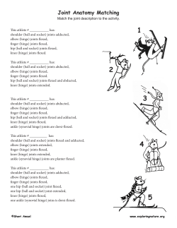 Joint Anatomy Matching