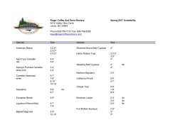 Spring 2017 Plant Availability