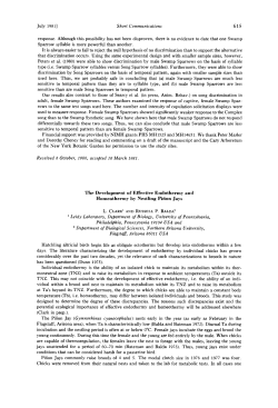 The Development of Effective Endothermy and Homeothermy by