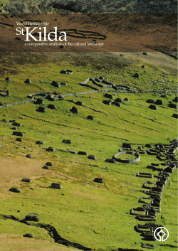 Comparative Analysis