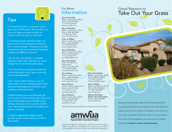 Grass Removal Guide (English Version)