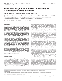 Molecular insights into miRNA processing by
