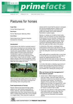 Pastures for horses - NSW Department of Primary Industries