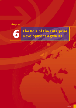 The Role of the Enterprise Development Agencies