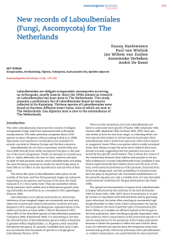 New records of Laboulbeniales (Fungi, Ascomycota) for The