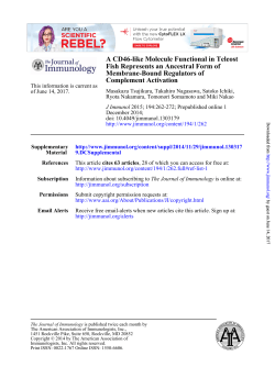 Complement Activation Membrane