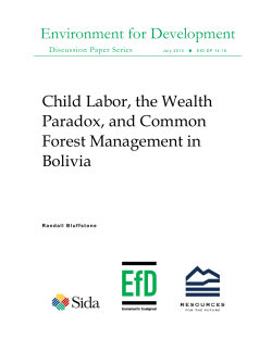 Child Labor, the Wealth Paradox, and Common Forest Management