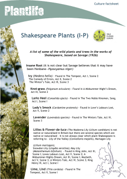 Shakespeare Plants - Wildflower Europe