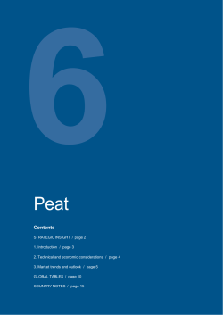 Contents - World Energy Council