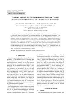 Genetically Modified, Red Fluorescent Zebrafish: Detection