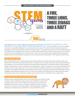 STEMgems A FIRE, THREE LIONS, THREE ZEBRAS AND A RAFT