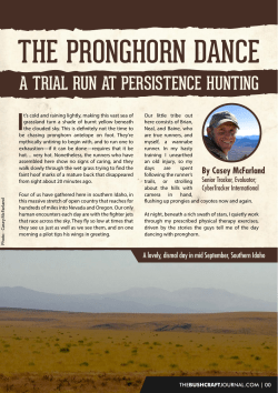 Here`s a short article about the adventure!