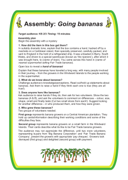 Banana ASSEMBLY - Fair Trade Wales