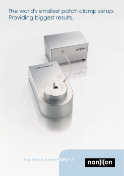 The world`s smallest patch clamp setup