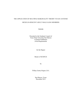 THE APPLICATION OF MULTIPLE MARGINALITY THEORY TO SAN