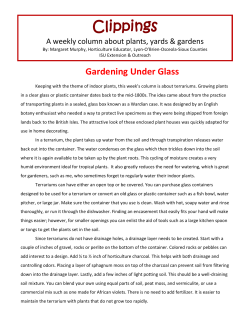 January 9 - Gardening Under Glass