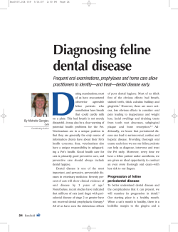 Diagnosing feline dental disease