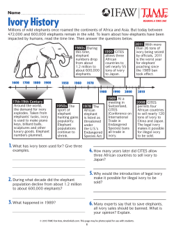 Ivory History Timeline