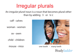 Irregular plurals whiteboard