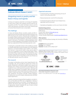 Integrating insects in poultry and fish feeds in Kenya and Uganda