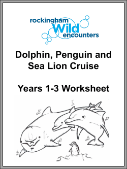 Dolphin, Penguin and Sea Lion Cruise Years 1-3